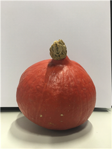 Pumpkin_副本.jpg