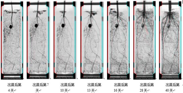 應用案例一.JPG